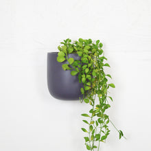 SOLID WALL PLANTERS | POTS - 45% OFF