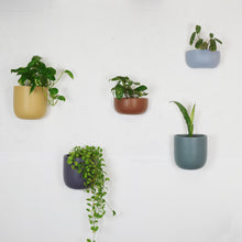 SOLID WALL PLANTERS | POTS - 45% OFF