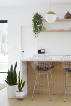 white cylinder plant pot on ground in spacious white kitchen