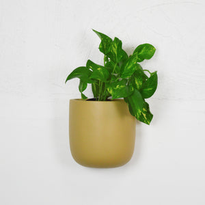 SOLID WALL PLANTERS | POTS - 45% OFF