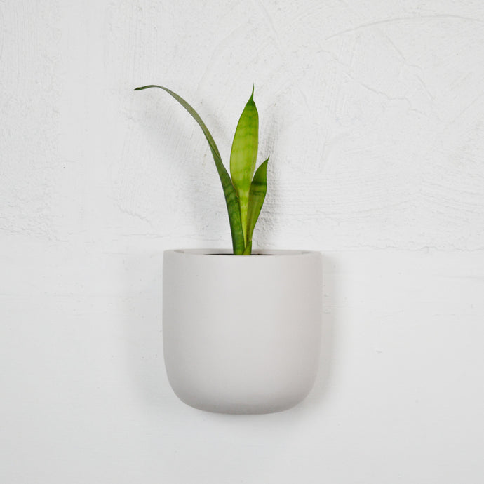 SOLID WALL PLANTERS | POTS - 45% OFF