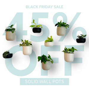 SOLID WALL PLANTERS | POTS - 45% OFF