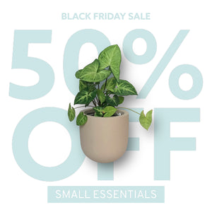 SMALL ESSENTIAL POT | PLANTER - 50% OFF