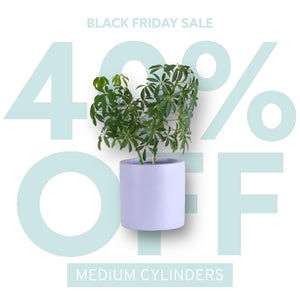 MEDIUM CYLINDER POT | PLANTER - 40% OFF