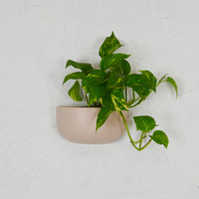 SOLID WALL PLANTERS | POTS - 45% OFF