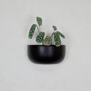 SOLID WALL PLANTERS | POTS - 45% OFF