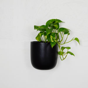 SOLID WALL PLANTERS | POTS - 45% OFF