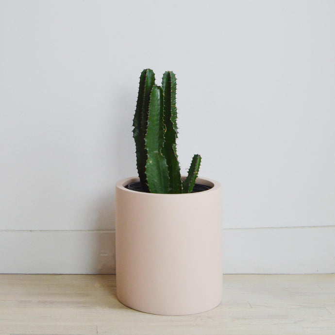 MEDIUM CYLINDER POT | PLANTER - 40% OFF