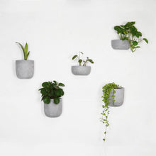 SOLID WALL PLANTERS | POTS - 45% OFF