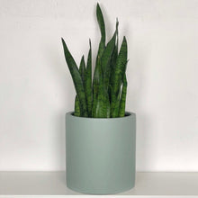 SAGE GREEN CYLINDER PLANTER