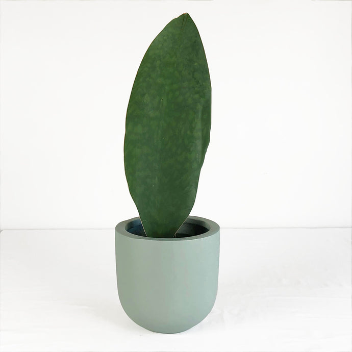 SMALL ESSENTIAL POT | PLANTER - 50% OFF