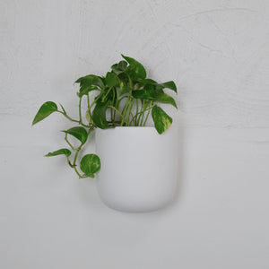 SOLID WALL PLANTERS | POTS - 45% OFF