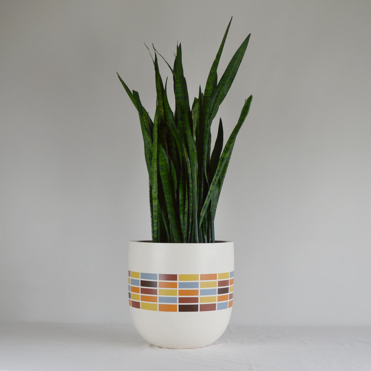 MATRIX RETRO PLANTER POT - Common House Studio