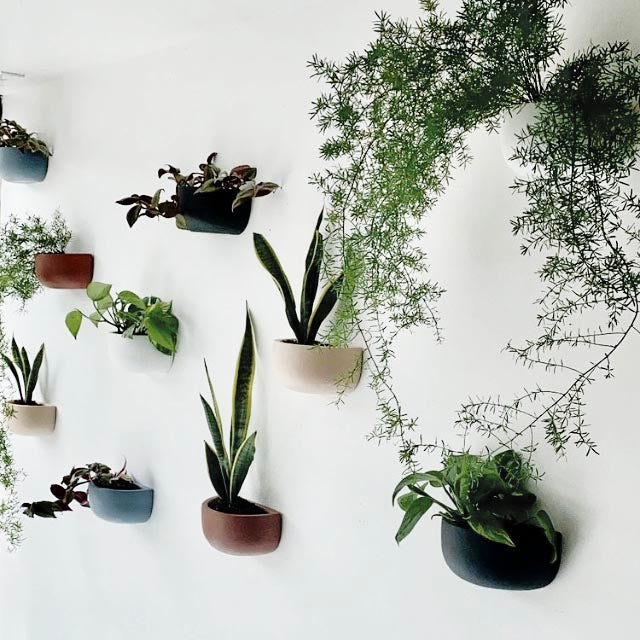 Pin on wall planters
